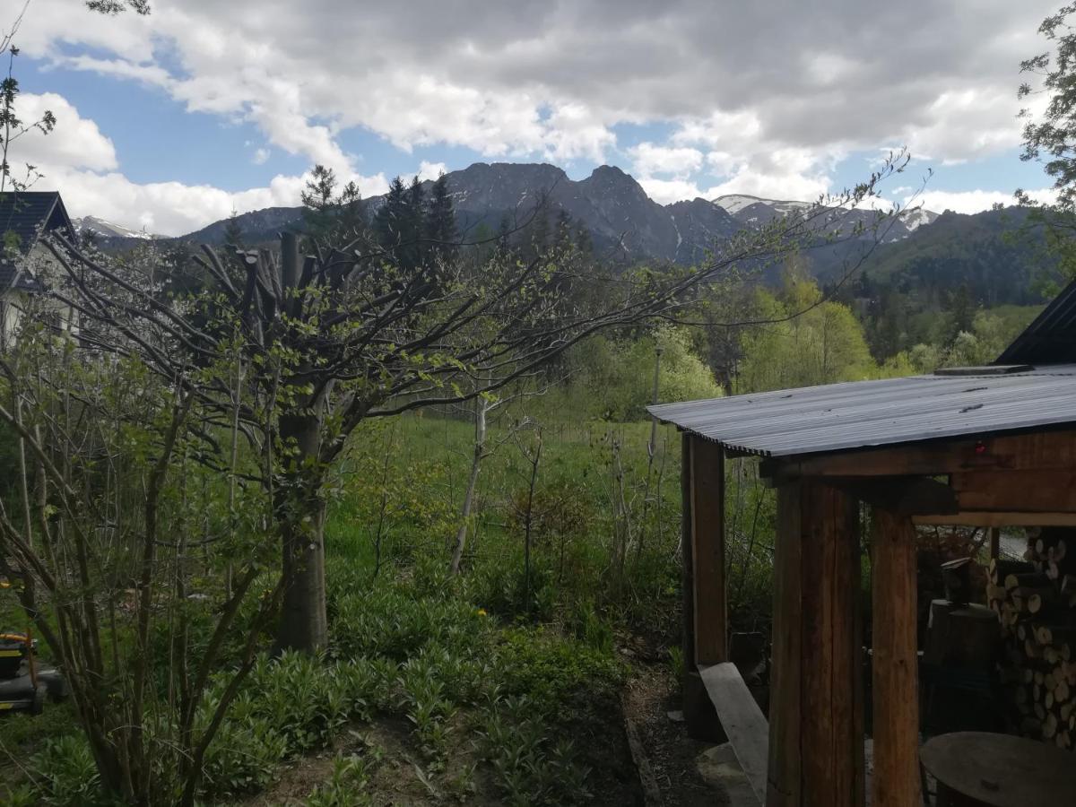Apartament Staro Izba Zakopane