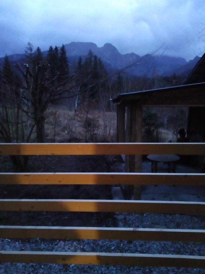 Apartament Staro Izba Apartment Zakopane